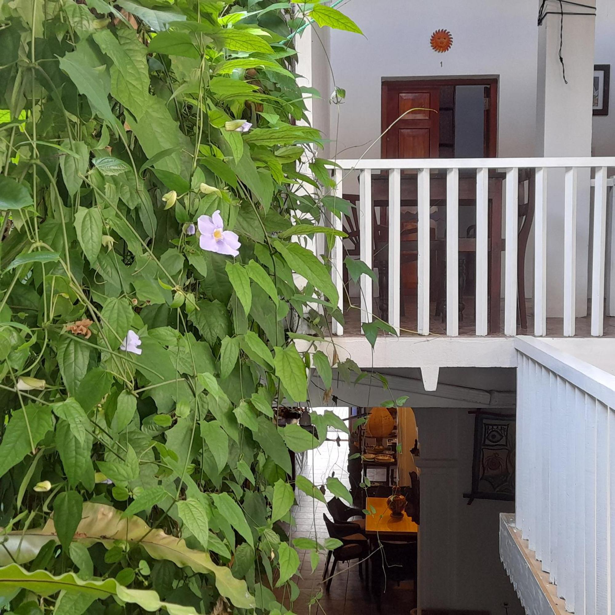Shoba Traveller'S Tree Homes Stay Galle Zewnętrze zdjęcie